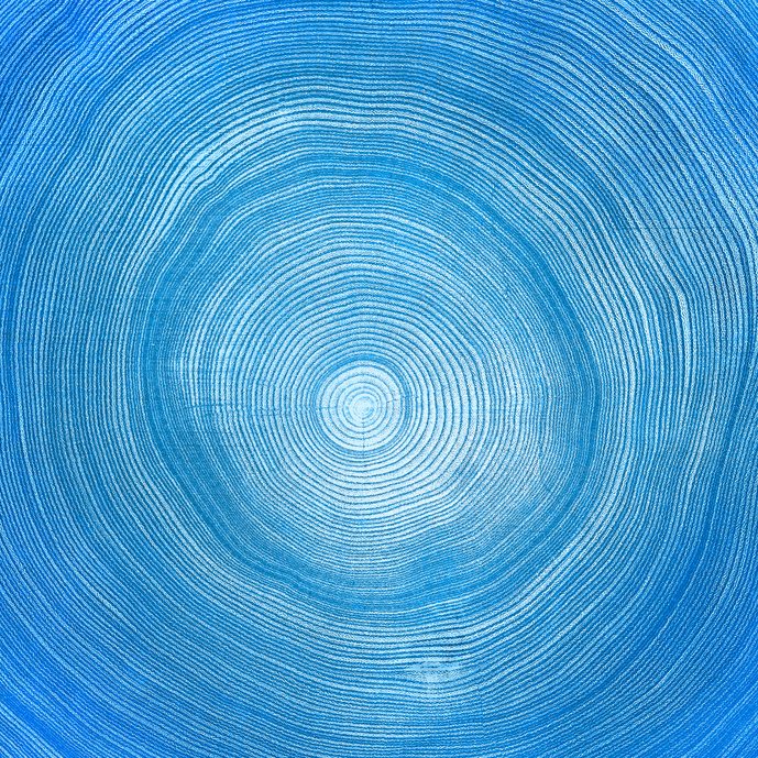 Detailed cool blue denim texture of tree end cut of a felled tre