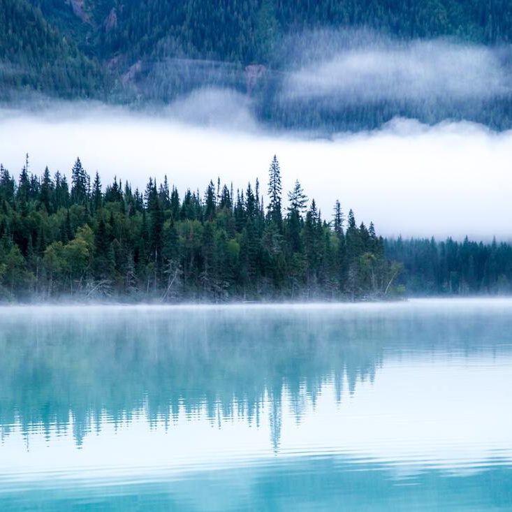 kalen-emsley-_LuLiJc1cdo-unsplash